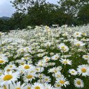 삼성여행사 - 부산진구 | 삼성여행사