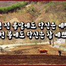 오지할머니 이미지