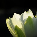 백련회관 이미지