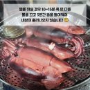 7월10일.생물고등어,병어,오징어,먹갈치,우럭 이미지