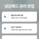 지엔파트너스 | 여름 냉감패드 관리법과 냉감패드 사용 후기