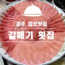 대왕릉민박 | 민박과 풍경 그리고 자연산회까지 저렴하게 한번에 해결할 수 있는 경주 감포 갈매기횟집 다녀온 후기