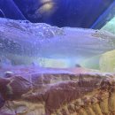 신기목장 | 인천 신기시장에 위치한 시골목장 정육점 방문후기 🍖