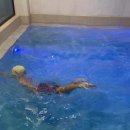 골드스푼애견풀빌라 이미지