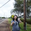 나현농장 이미지