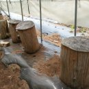 큰소나무농장 이미지