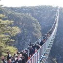 강원도 원주 "소금산 출렁다리 개통기념 이벤트 산행" 안내...1월 27일 (토) 이미지