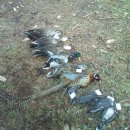 덕일슈퍼 이미지