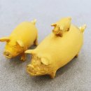 황금돼지 이미지