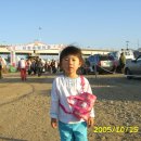 심청농장 이미지