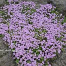 우란농장 이미지