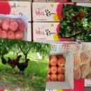 반딧불농원 이미지