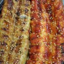 바다장어 이미지