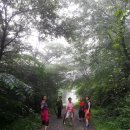 전남 장성 축령산자연휴양림편백나무숲 두번째 여행 이미지