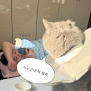 꽃피는떡방 | 잘 지낸 하루들