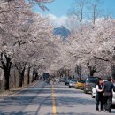 하도문쌈채마을 이미지