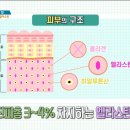 세종드림 네이버블로그