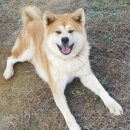 자룡농장 이미지