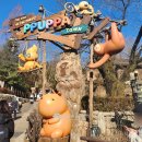 새부산타운 이미지