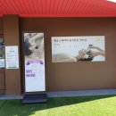 태전동 226-1 | 숨디톡스 스파 대구 휠로스 in 선