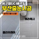 에코 더 힐 | 부산줄눈 에코델타더베르힐 케라폭시와 폴리우레아 하루 시공 후기