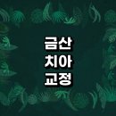 금산군 치아교정 잘하는 전문치과 병원 추천 | 비용 후기 설측교정 돌출입 앞니 투명 무턱 부분 교정기...