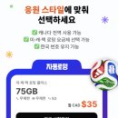 스윗투고 | 캐나다 밴쿠버 관광객들은 모르는 현지인의 히든 피크닉 장소: 키칠라노 근처 예리코 비치 공원