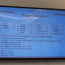 퍼피파라다이스 이미지