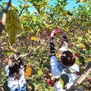 산외면행정복지센터 이미지