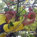 에덴농장 이미지