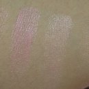 바비 펫 이미지