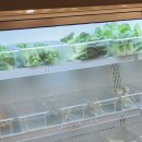 마라명가 이미지