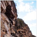 강아지마을2012 이미지