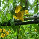 수진농장 이미지