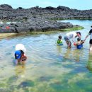 하도어촌체험휴양마을 이미지