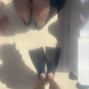 대일관광여행사 | [해외 정복기] 하와이 Day5 : 캡틴밥 카네오헤 샌드바 투어 후기