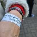 붓다보이차