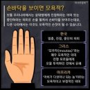 싸인나라 이미지