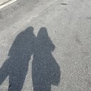 23/05/08~23/05/14