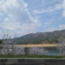 인제군농특산물전시판매장 주차장 이미지