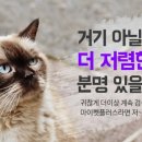 수플러스팬션 이미지