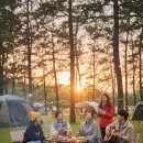 캠프그라운드 성지 | 🏕️가을 캠핑 🚨긴급속보! 주말마다 전석 매진되는 전국 유료 캠핑장 TOP 7의 예약 꿀팁과 숨겨진 명당...
