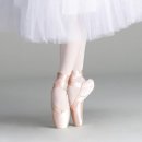 연소프트 이미지