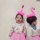 오감) 플라밍고를 만나요🦩🦩🩷🩷 이미지