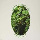 포크기타 (연주) 이미지