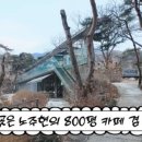 "800평 저택 대신 20평대 마곡 실버타운 갈래" 국민배우가 선택한 노후 이미지