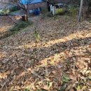 인천2리경로당 이미지