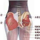 머슬96짐
