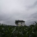 언덕위에하얀집 이미지