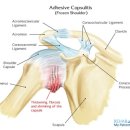 연세포유의원 이미지